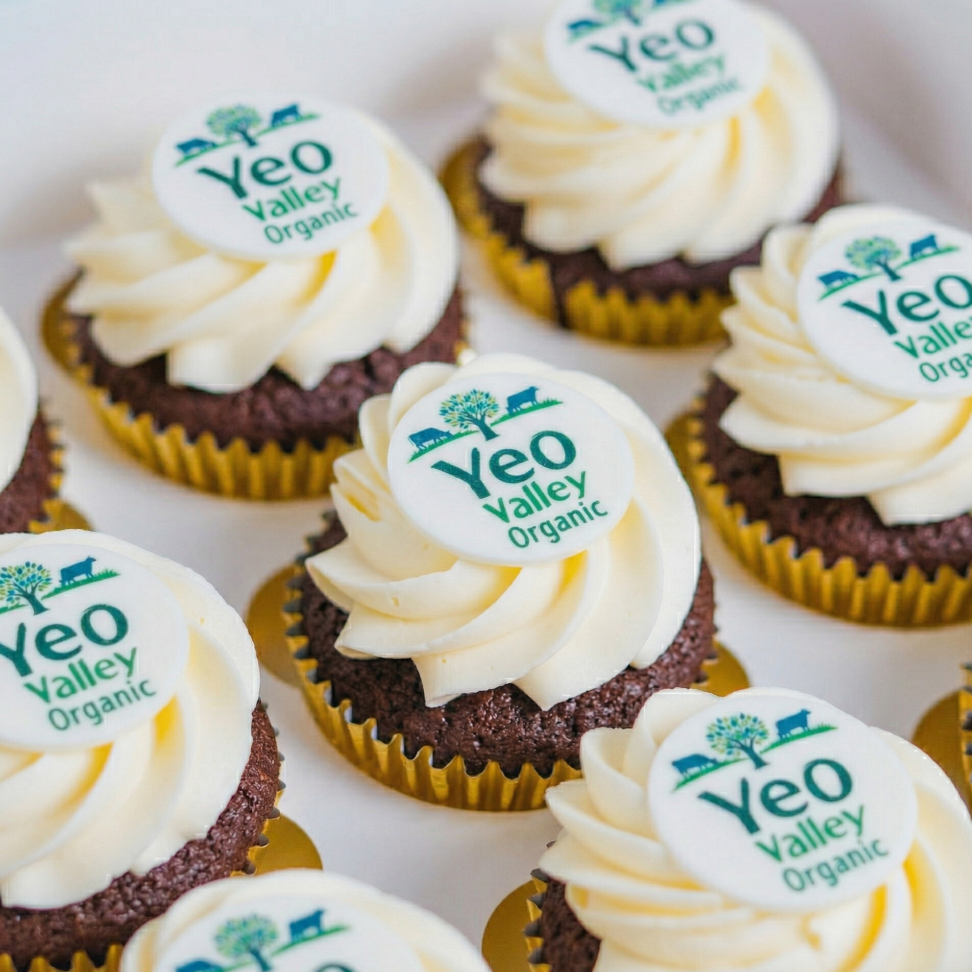 Chocolate Logo Cupcake Box (Vegan & Gluten Friendly)