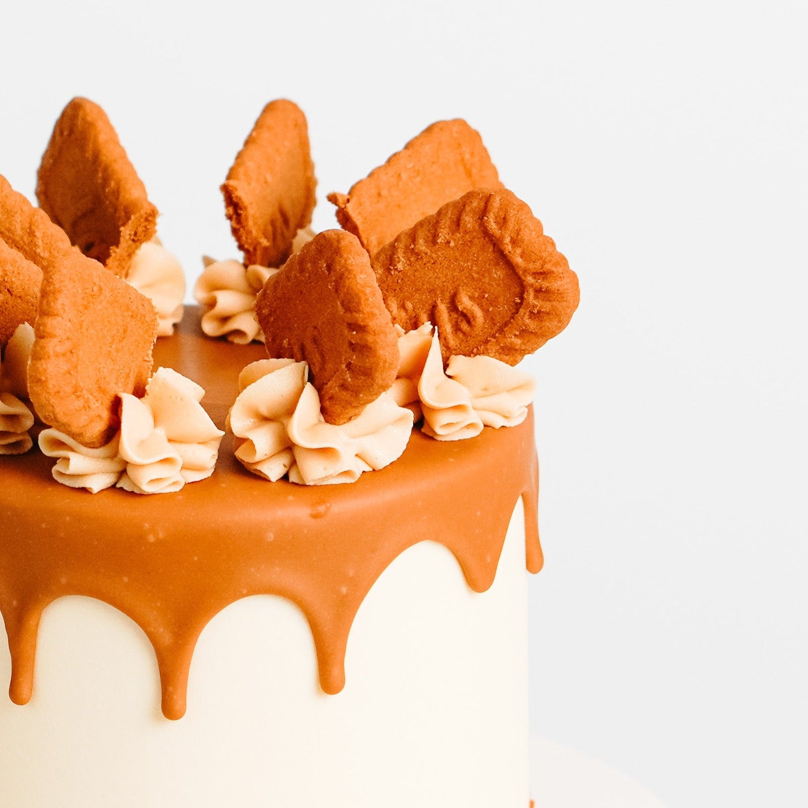 Biscoff Cake