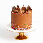 Load image into Gallery viewer, Vegan &amp; Gluten Free Chocolate Sprinkle Party Cake
