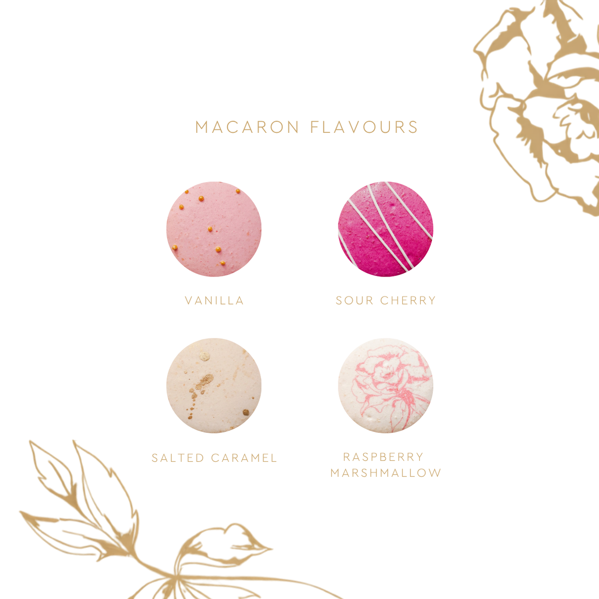 ANNA x Fleur of England Macaron Collection