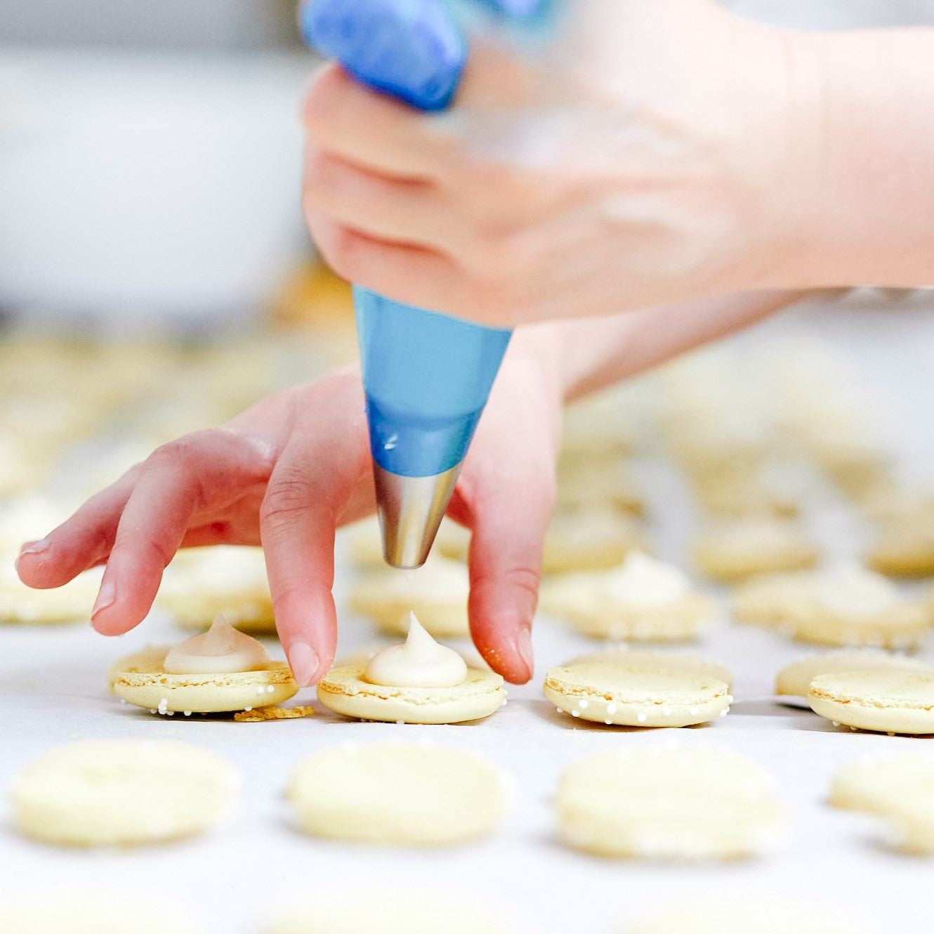 Macaron Class: 29th March