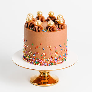Chocolate Sprinkle Party Cake
